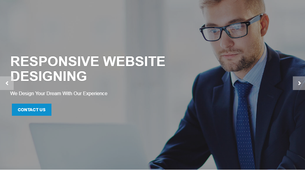 Alpha Software Group